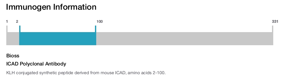 ICAD Polyclonal Antibody