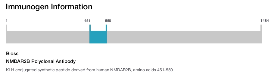 NMDAR2B Polyclonal Antibody