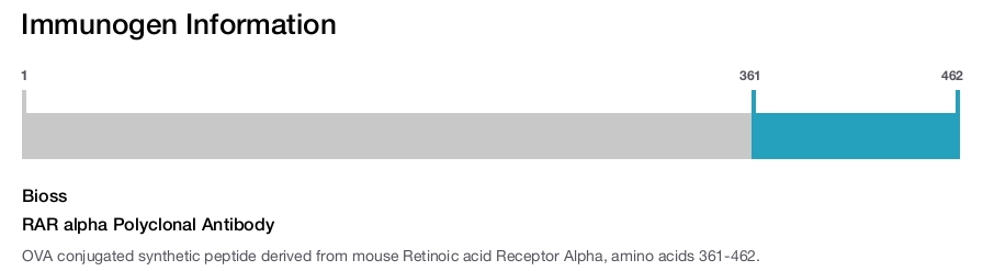 RAR alpha Polyclonal Antibody