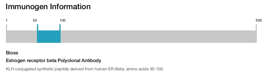 Estrogen receptor beta Polyclonal Antibody