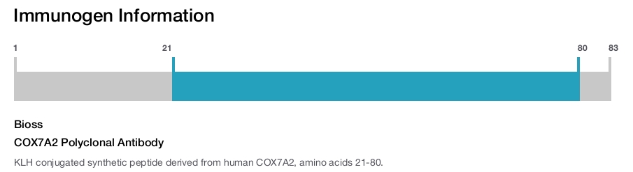 COX7A2 Polyclonal Antibody