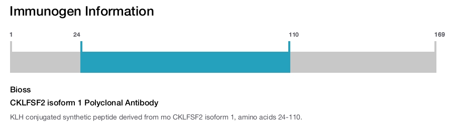 CKLFSF2 isoform 1 Polyclonal Antibody