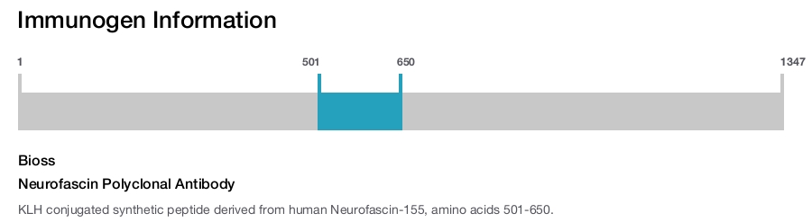 Neurofascin Polyclonal Antibody