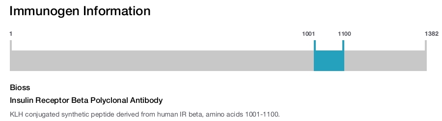 Insulin Receptor Beta Polyclonal Antibody