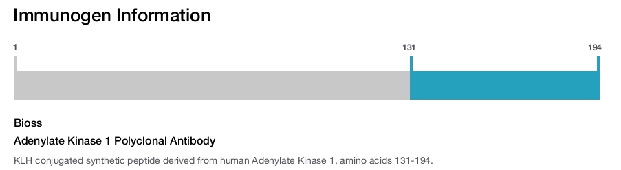 Adenylate Kinase 1 Polyclonal Antibody