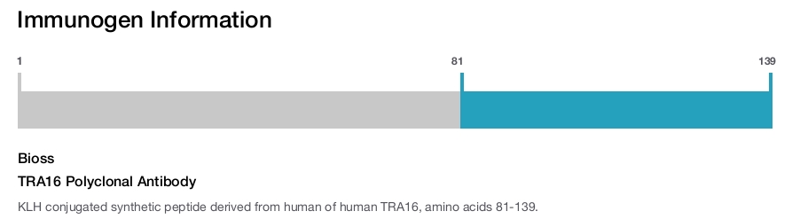 TRA16 Polyclonal Antibody