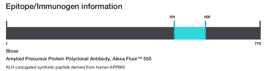 Amyloid Precursor Protein Polyclonal Antibody, Alexa Fluor&trade; 555