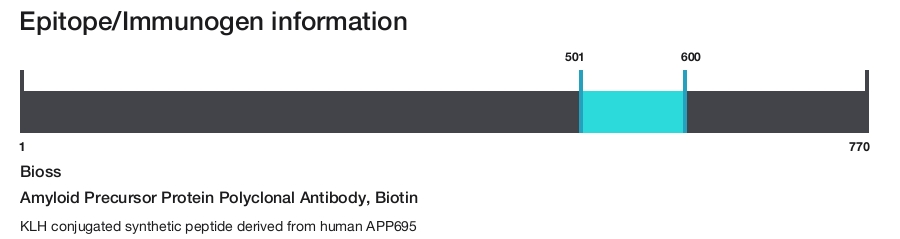 Amyloid Precursor Protein Polyclonal Antibody, Biotin