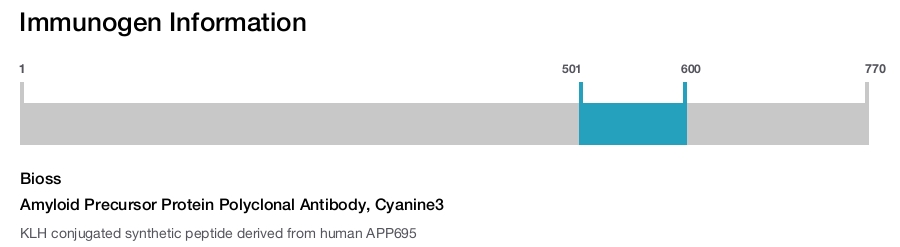 Amyloid Precursor Protein Polyclonal Antibody, Cyanine3