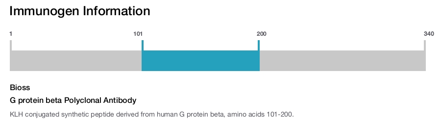 G protein beta Polyclonal Antibody