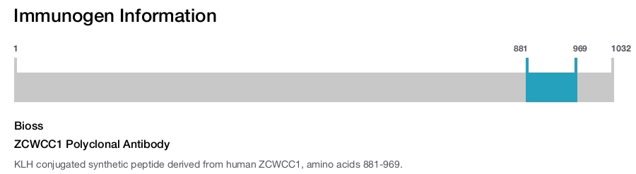 ZCWCC1 Polyclonal Antibody