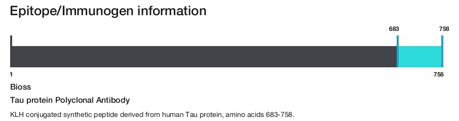 Tau protein Polyclonal Antibody