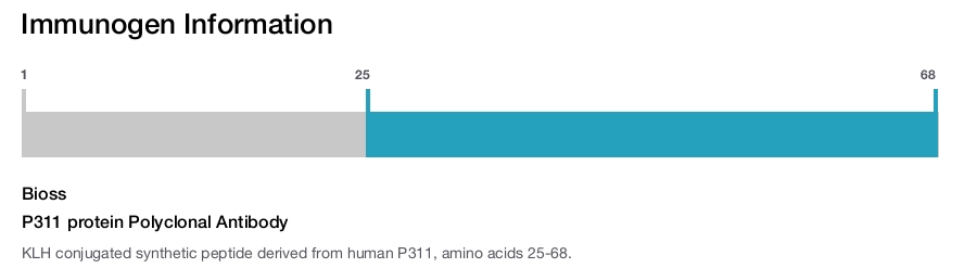 P311 protein Polyclonal Antibody