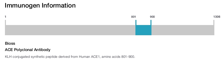 ACE Polyclonal Antibody