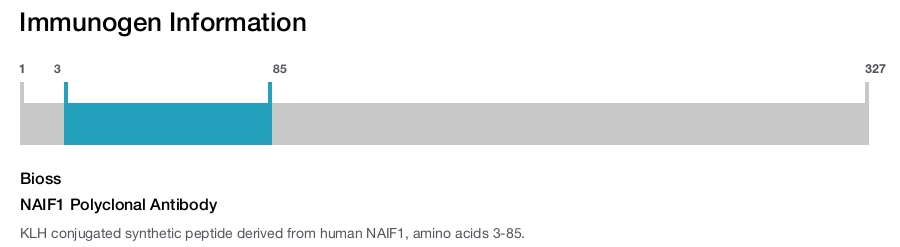 NAIF1 Polyclonal Antibody