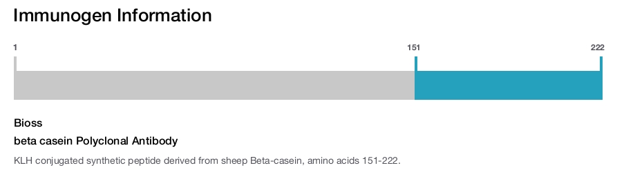 beta casein Polyclonal Antibody