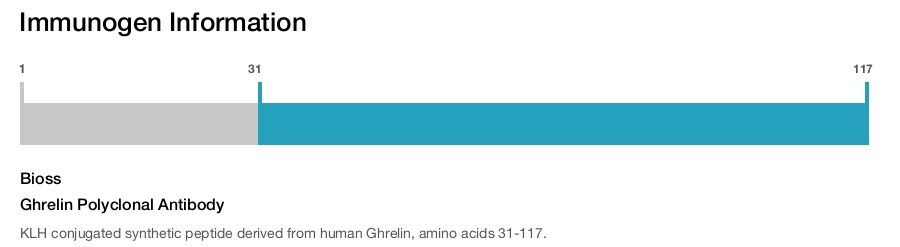 Ghrelin Polyclonal Antibody
