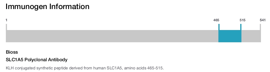 SLC1A5 Polyclonal Antibody