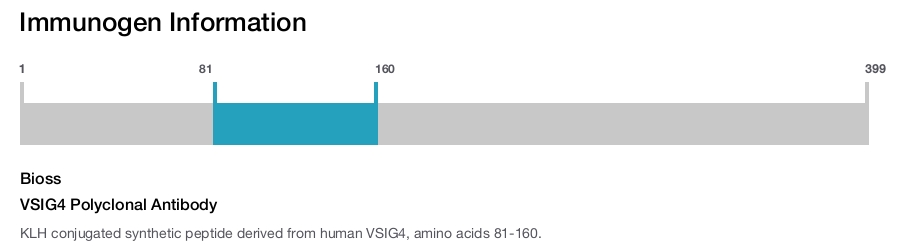 VSIG4 Polyclonal Antibody