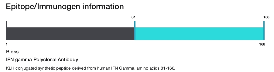 IFN gamma Polyclonal Antibody