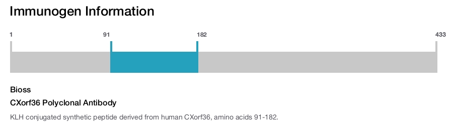 CXorf36 Polyclonal Antibody