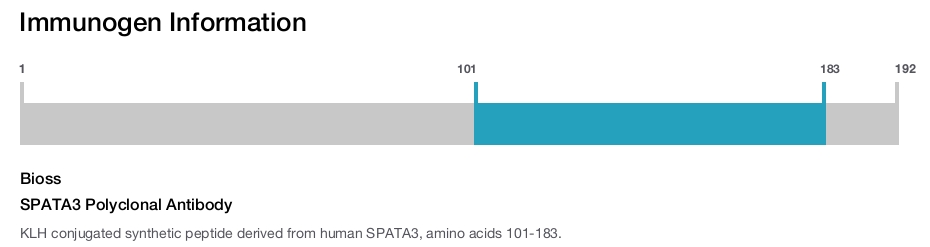 SPATA3 Polyclonal Antibody