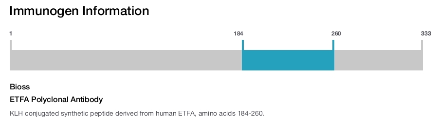 ETFA Polyclonal Antibody