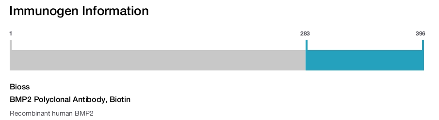 BMP2 Polyclonal Antibody, Biotin