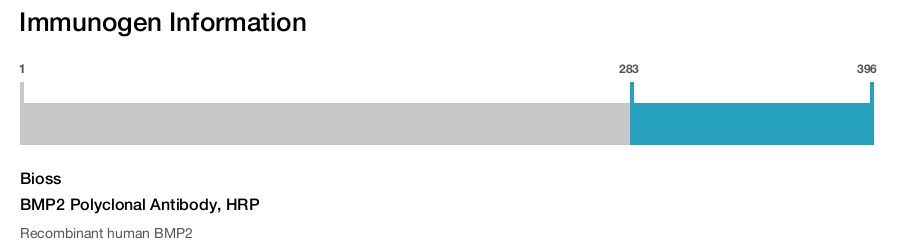 BMP2 Polyclonal Antibody, HRP