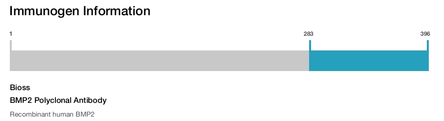 BMP2 Polyclonal Antibody