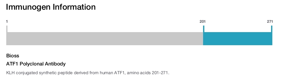 ATF1 Polyclonal Antibody