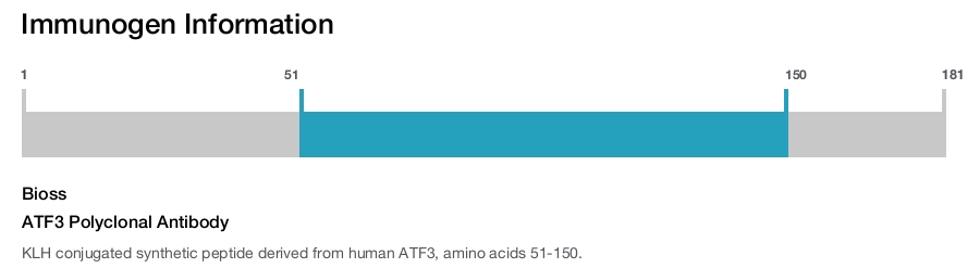 ATF3 Polyclonal Antibody