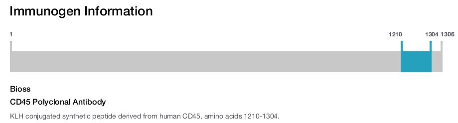 CD45 Polyclonal Antibody