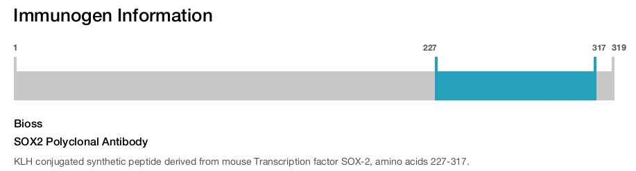 SOX2 Polyclonal Antibody
