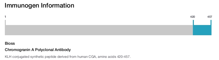 Chromogranin A Polyclonal Antibody