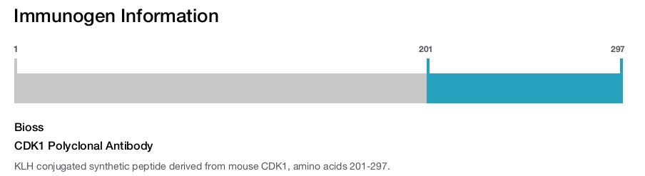 CDK1 Polyclonal Antibody