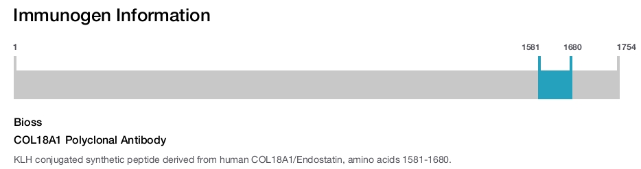 COL18A1 Polyclonal Antibody