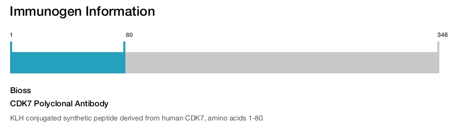 CDK7 Polyclonal Antibody