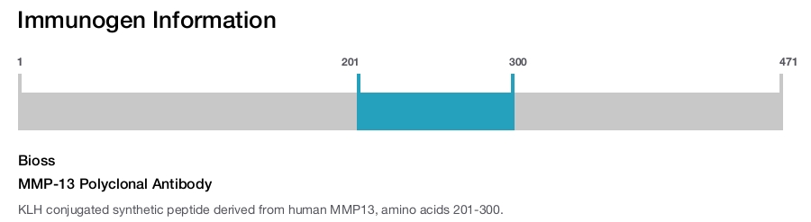 MMP-13 Polyclonal Antibody