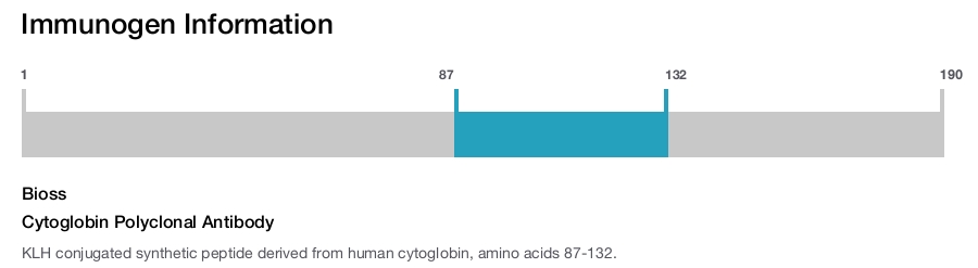 Cytoglobin Polyclonal Antibody
