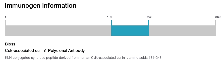 Cdk-associated cullin1 Polyclonal Antibody