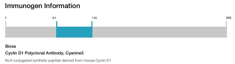 Cyclin D1 Polyclonal Antibody, Cyanine3