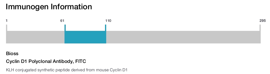 Cyclin D1 Polyclonal Antibody, FITC