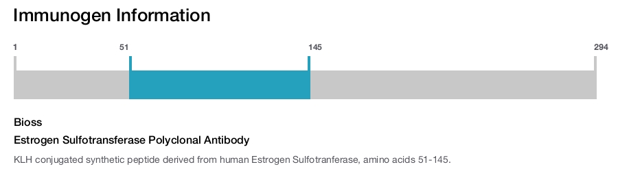 Estrogen Sulfotransferase Polyclonal Antibody