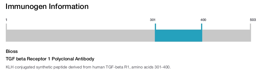 TGF beta Receptor 1 Polyclonal Antibody