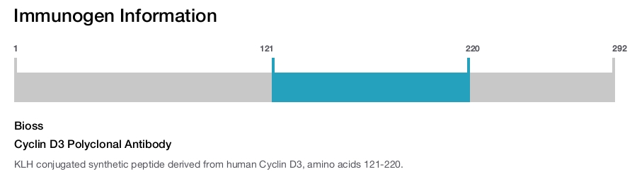 Cyclin D3 Polyclonal Antibody