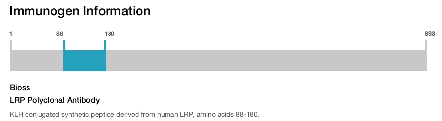 LRP Polyclonal Antibody