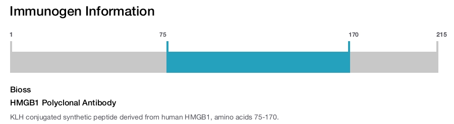 HMGB1 Polyclonal Antibody