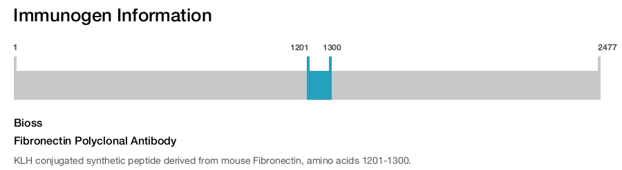 Fibronectin Polyclonal Antibody
