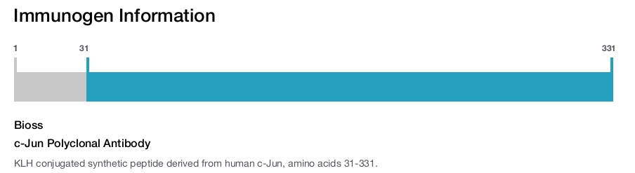 c-Jun Polyclonal Antibody